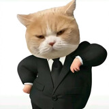 da___miaoww