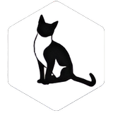 Code With Lasa