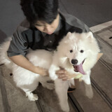 lvdou5566