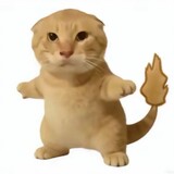 ___dielongbaobao