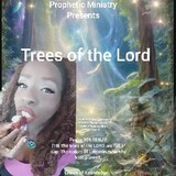 Prophetic Ministry