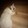 chatuphon29