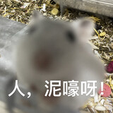 shijiediyishushuwang