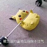 jiujiumi___