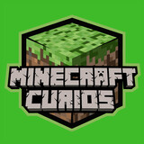 Minecraft Curios