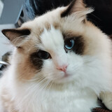 mominqwq