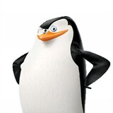tegongcainiao