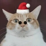 louxiaのjiubaoabing