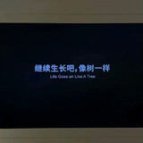 guoyanghuaqingwuuu