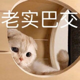 gezijingchuanchuan