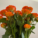jamsiies_05_01