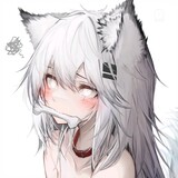 rrgrp_riki