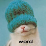 amiaolieweitan_shun