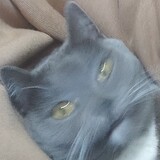 chiwomiaomiaoquan662