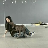ttyaoyeyeqing