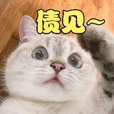 xuanyashangdelaosiji