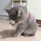 misayoko_04