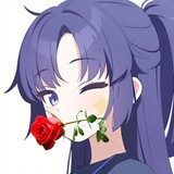 sidaimuyouxiang