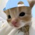 pixiflwr