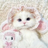 rourouxiao___