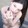 lesley_chir