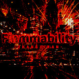 flammability-yibao