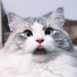 wushi______