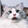 wushi______