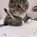 xiao___zenmejiao_ovo