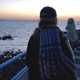 fengyehongtouwuzigui