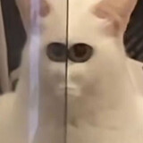 xunikaite