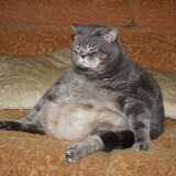 น้องเอา HP บทหลอด