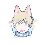 dongjingmiguabaoxiaogou