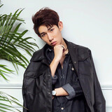 lizonghengactor
