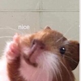 Nghĩa Nguyễn Tr_7888