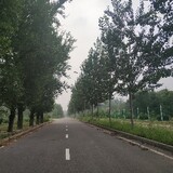 shunqiziran-404
