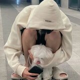 nova_xiaohud