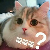 ___chengbukeyichi