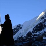 Hongshaorouweigouyebugeini