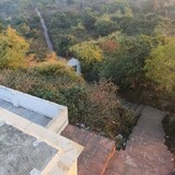 Ayushpatel77027