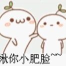 huaweiwei