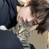 chaomengdongwuzhijia