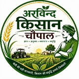 Arvind Kumar_7384