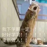 dafengchehuhudechui
