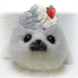 baobeiyixia