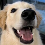 wudilixiaofengdawang