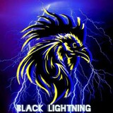 BlackLightningFowls