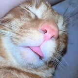 cczaixiao