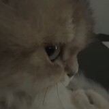 hazelnutzzxxx