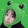 heiyanquanxingxing-